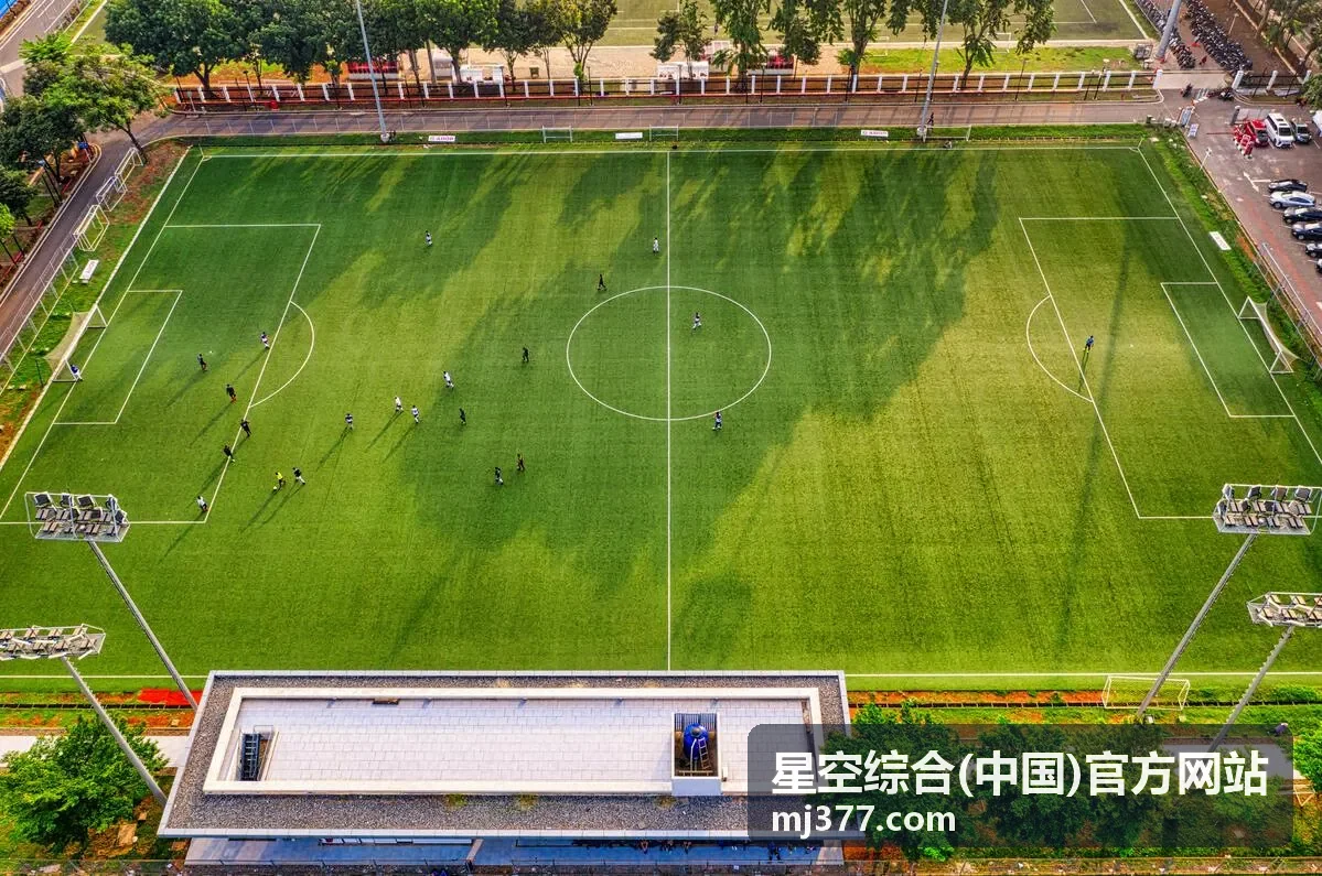 星空综合(中国)官方网站首页内容入口示意